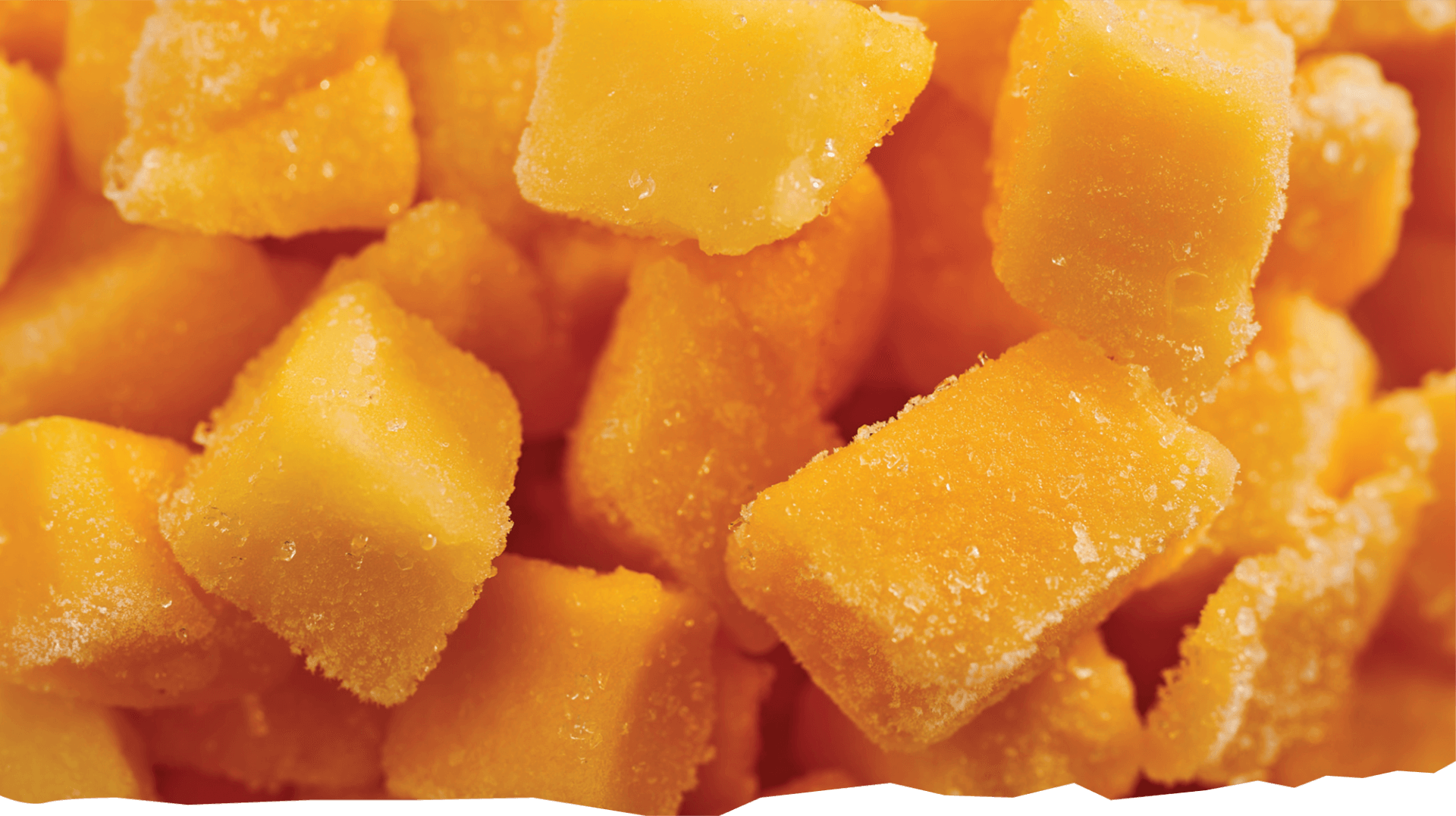 Congelados